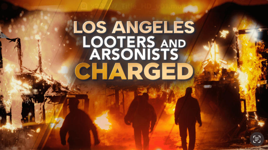 Los Angeles Looters & Arsonists Charged (1)