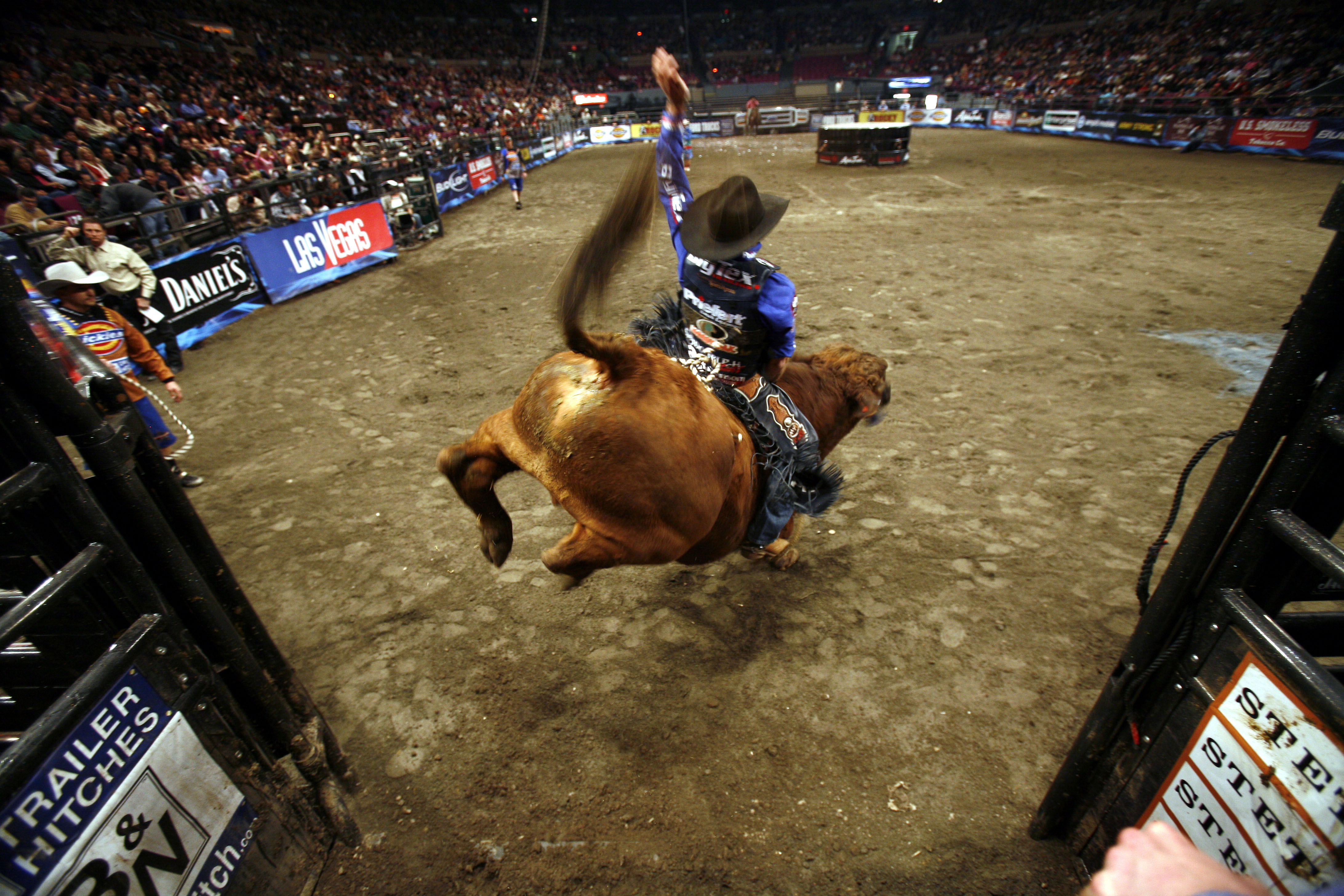 Bull riding Reuters