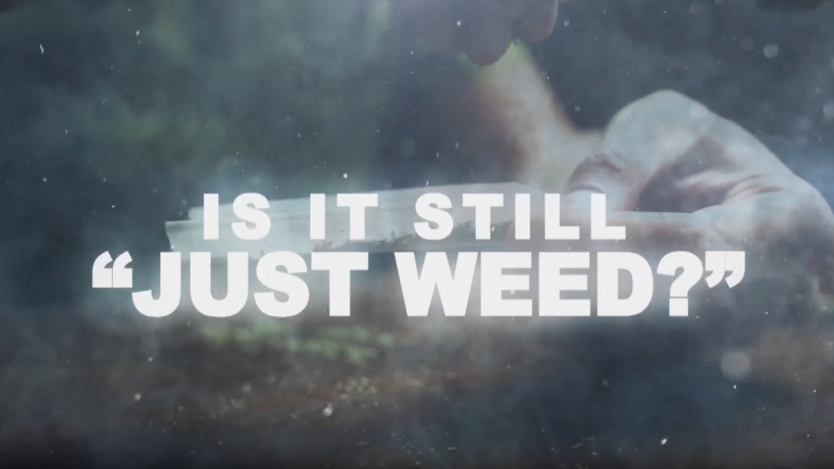 Addiction Psychosis, Trips to the ER & Suicide: Is It Still 'Just Weed'?