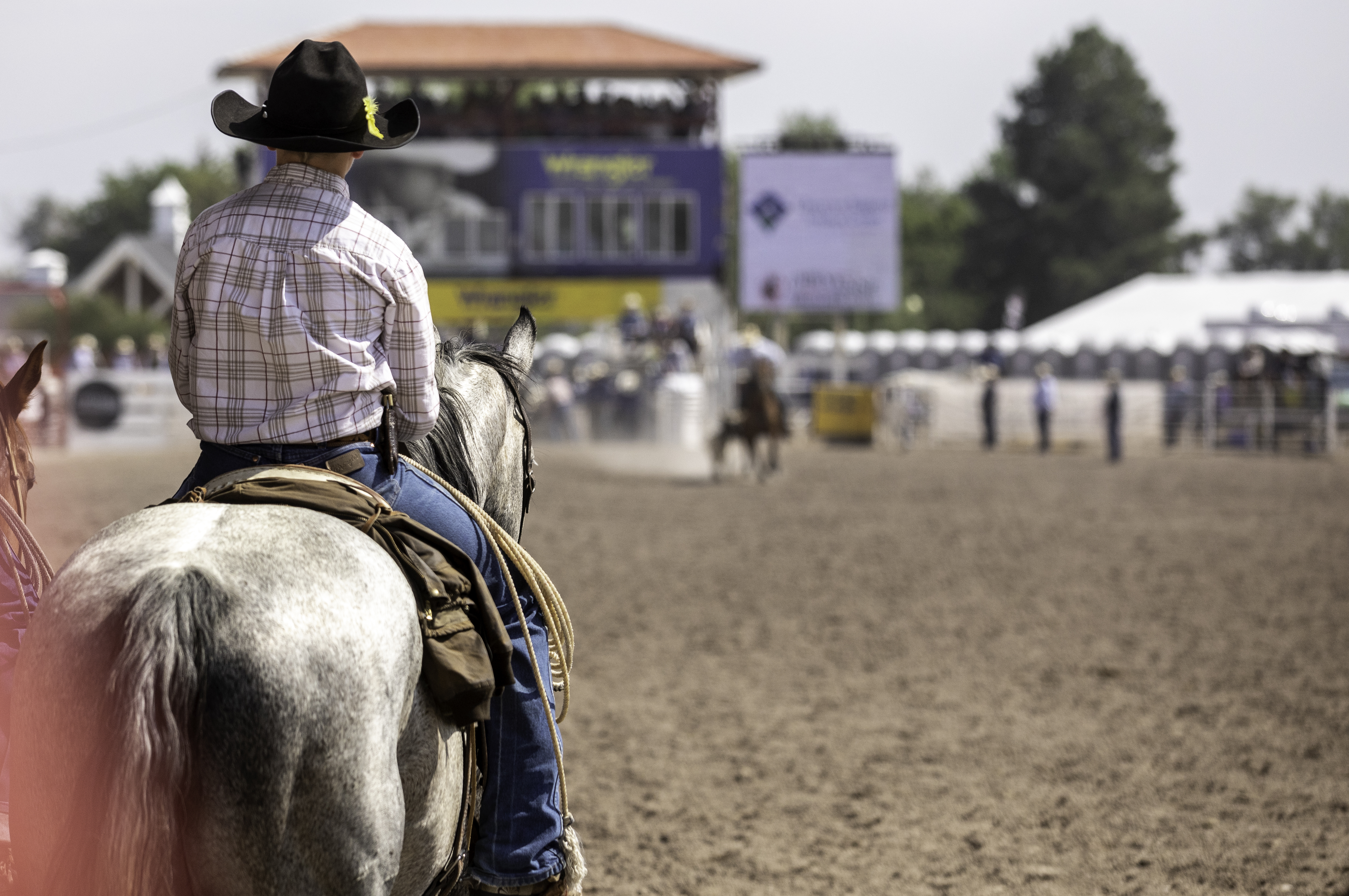 0 frontier days boy horse